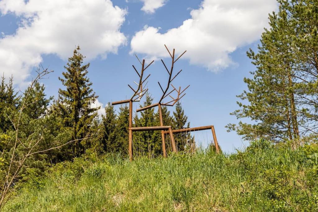 Vytenio Parkas Suderwa Exteriér fotografie